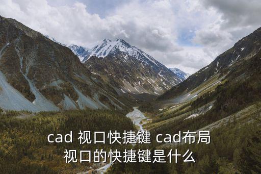  cad 視口快捷鍵 cad布局 視口的快捷鍵是什么