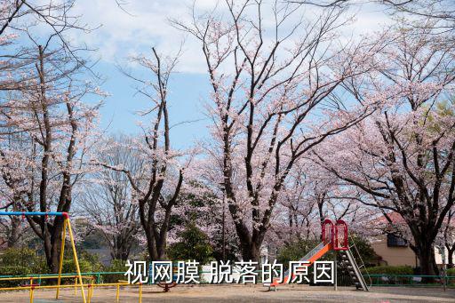  視網膜 脫落的原因