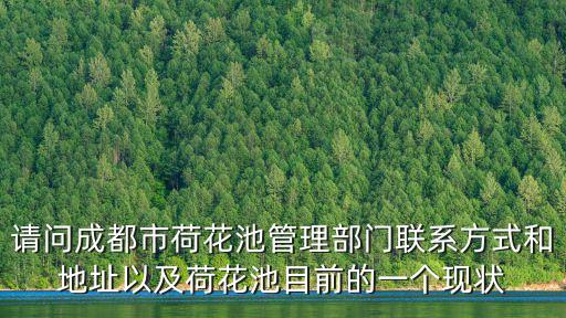 請(qǐng)問成都市荷花池管理部門聯(lián)系方式和地址以及荷花池目前的一個(gè)現(xiàn)狀