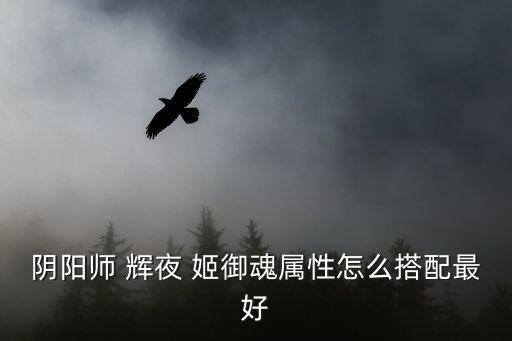 陰陽師 輝夜 姬御魂屬性怎么搭配最好