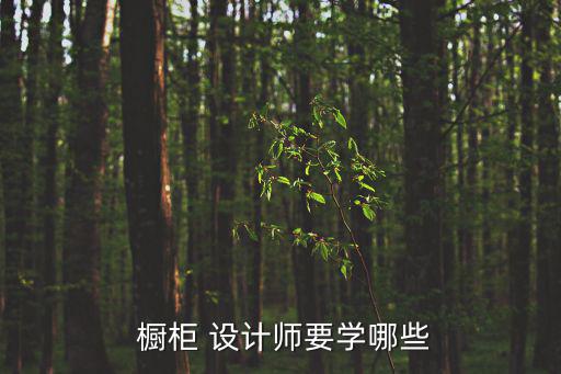  櫥柜 設計師要學哪些