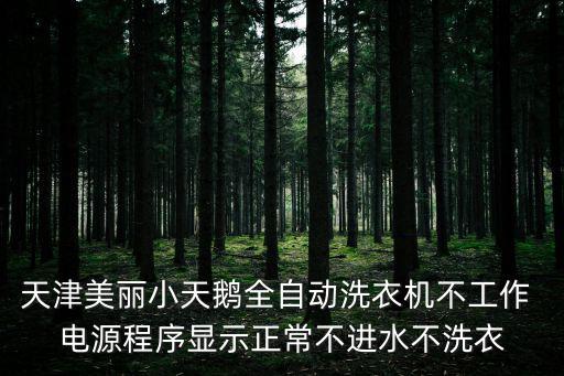 天津美麗小天鵝全自動洗衣機不工作 電源程序顯示正常不進水不洗衣