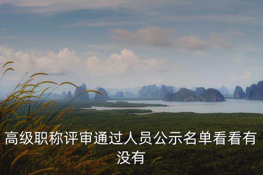 高級職稱評審通過人員公示名單看看有沒有
