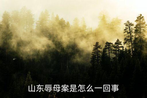 聊城于歡案,于歡防衛過當被判入獄五年
