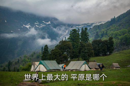 世界最大平原,世界最大平原是亞馬遜(又譯歐亞）