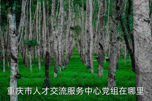 重慶市人才交流服務中心黨組在哪里
