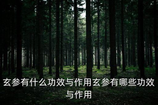 元參的功效,本地這些中藥材有哪些?