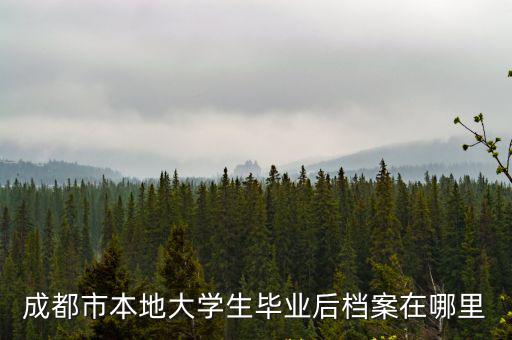 成都市本地大學(xué)生畢業(yè)后檔案在哪里