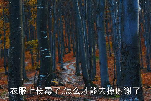 衣服上長霉了,怎么才能去掉謝謝了