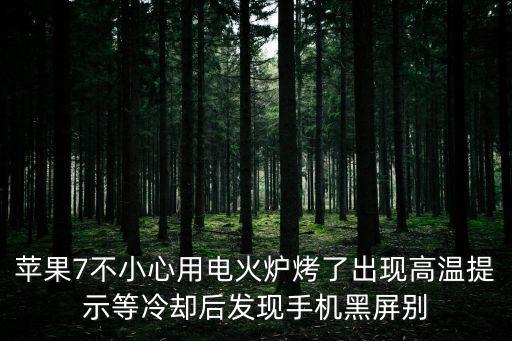 蘋果7不小心用電火爐烤了出現高溫提示等冷卻后發現手機黑屏別