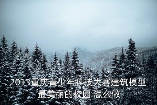 2013重慶青少年科技大賽建筑模型 最美麗的校園 怎么做