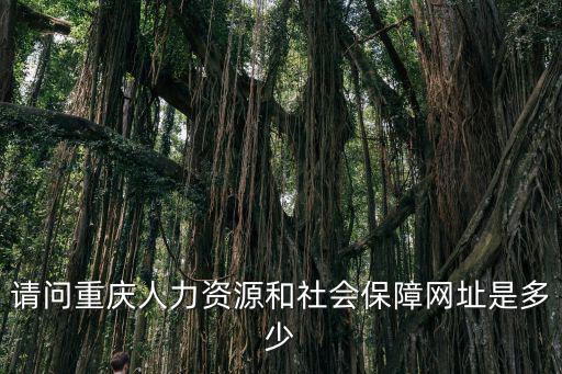 請問重慶人力資源和社會保障網址是多少