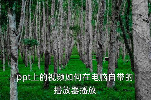 ppt播放器,播放器安裝完成后可播放幻燈片和文檔
