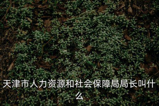 天津市人力資源和社會保障局局長叫什么