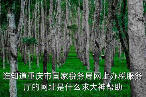 誰知道重慶市國家稅務局網上辦稅服務廳的網址是什么求大神幫助