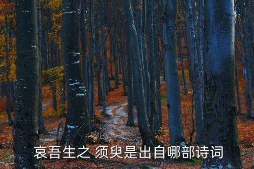  哀吾生之 須臾是出自哪部詩詞