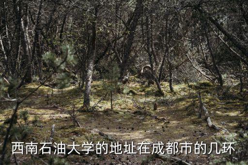 西南石油大學(xué)的地址在成都市的幾環(huán)