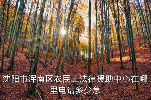 沈陽市渾南區農民工法律援助中心在哪里電話多少急