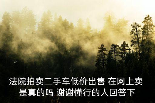 法院拍賣二手車低價出售 在網上賣 是真的嗎 謝謝懂行的人回答下