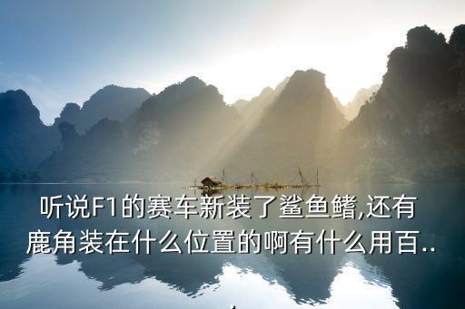 聽說F1的賽車新裝了鯊魚鰭,還有 鹿角裝在什么位置的啊有什么用百...