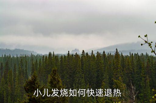 小孩發(fā)燒怎么退燒最快，小兒發(fā)燒如何快速退熱