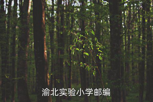 重慶市渝北實驗小學足球，重慶渝北實驗小學