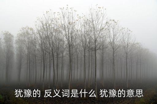  猶豫的 反義詞是什么 猶豫的意思