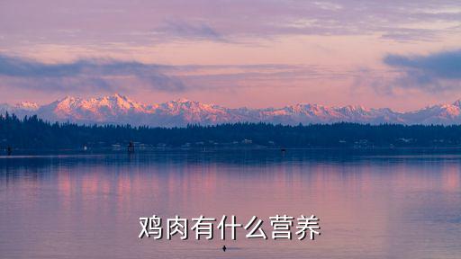 雞肉有什么營養(yǎng)
