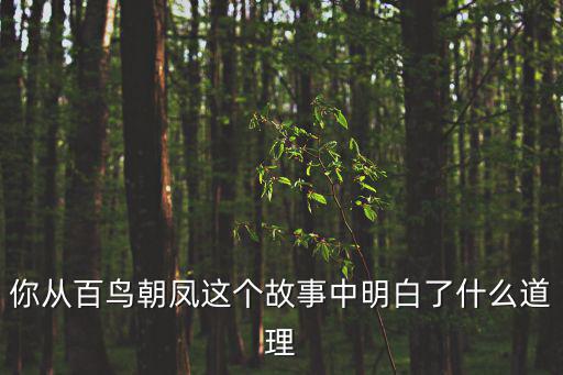 你從百鳥朝鳳這個故事中明白了什么道理