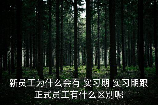 實習工,外包項目員工發生工傷由雇主單位承擔責任