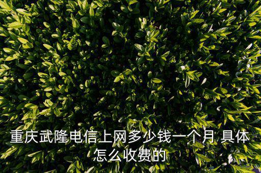 重慶市武隆區惠友通訊，重慶武隆縣777開頭的電話是哪一片區的