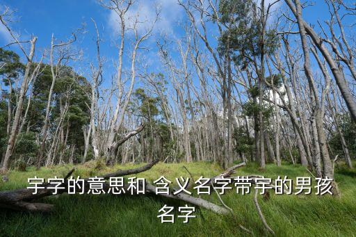  宇字的意思和 含義名字帶宇的男孩名字