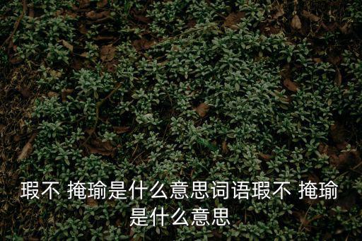 瑕不掩瑜的意思,瑕不掩瑜，瑜伽也不掩飾缺陷