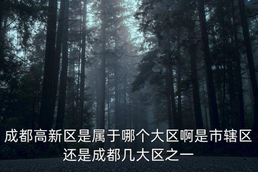 成都高新區(qū)是屬于哪個大區(qū)啊是市轄區(qū)還是成都幾大區(qū)之一