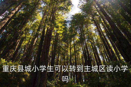 重慶縣城小學(xué)生可以轉(zhuǎn)到主城區(qū)讀小學(xué)嗎