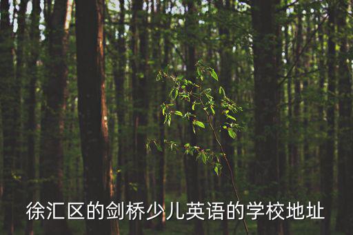徐匯區的劍橋少兒英語的學校地址