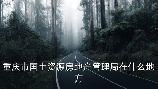 重慶市國土資源房地產管理局在什么地方