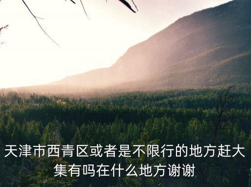 天津市西青區(qū)或者是不限行的地方趕大集有嗎在什么地方謝謝