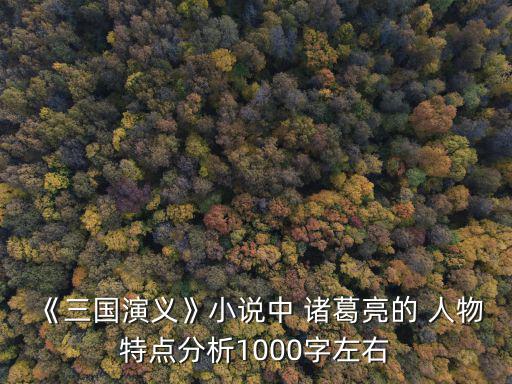 《三國演義》小說中 諸葛亮的 人物特點(diǎn)分析1000字左右
