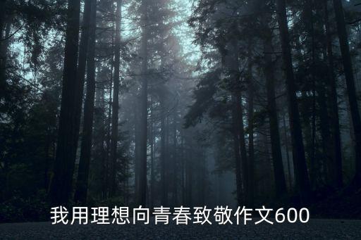 青春致敬，作文 向青春致敬