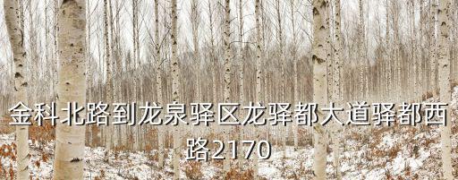 金科北路到龍泉驛區龍驛都大道驛都西路2170
