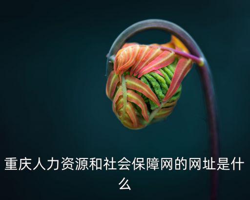 重慶人力資源和社會保障網的網址是什么