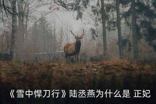 正妃,徐鳳年正妃身份被抹去扮演者身份