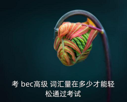 考 bec高級 詞匯量在多少才能輕松通過考試