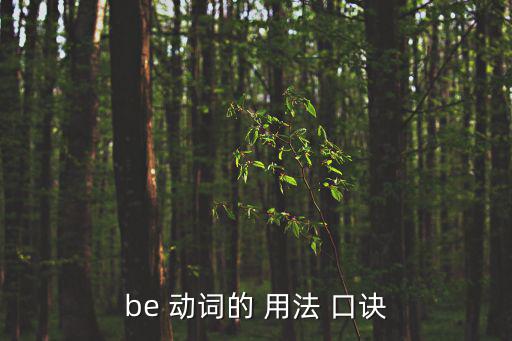 be 動詞的 用法 口訣