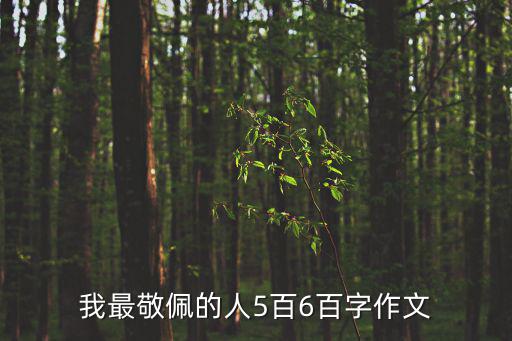 我最敬佩的人5百6百字作文