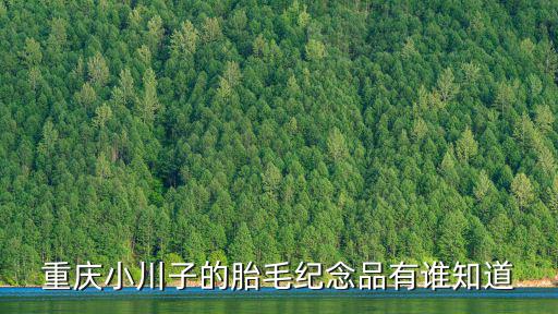 重慶市金湯大廈，重慶市人才交流服務中心黨組在哪里