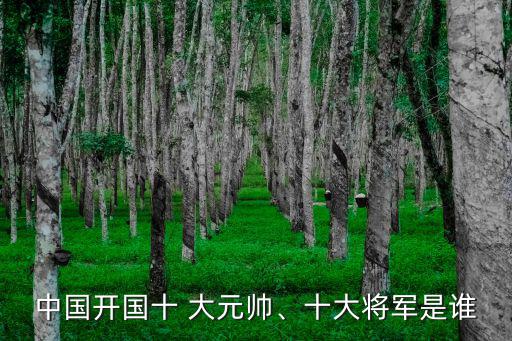 中國大元帥,毛澤東謝絕大元帥軍銜中國沒有十大將帥