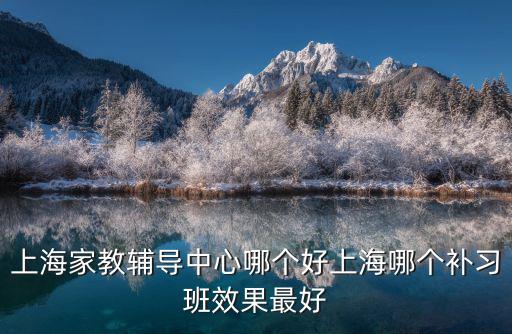 上海家教輔導中心哪個好上海哪個補習班效果最好