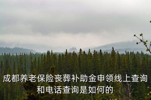 成都市人事局咨詢，在成都人事網考試的證件在哪里領